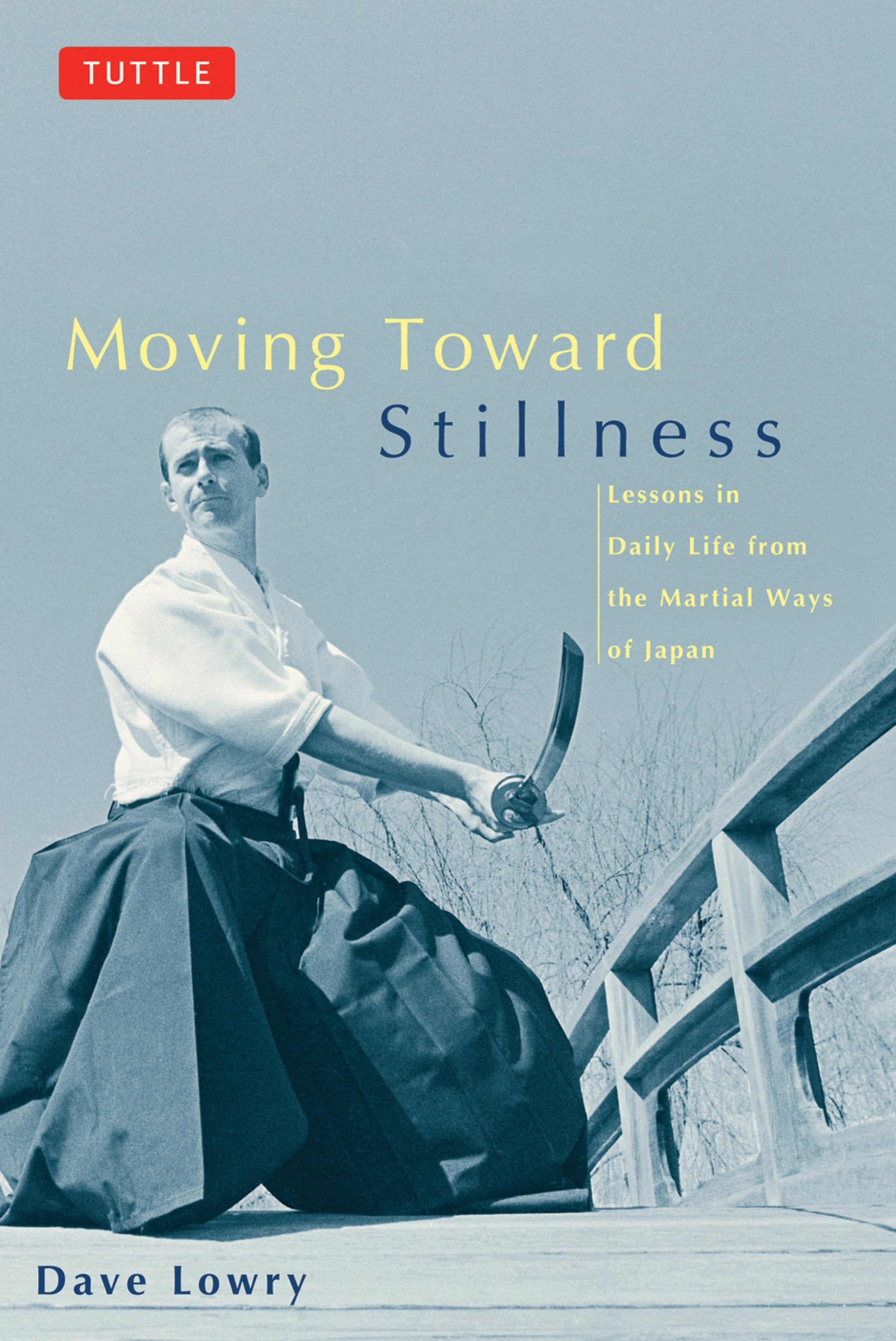 Cover image for Moving Toward Stillness ISBN 9780804831604